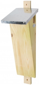 Boomkruiper nestkast